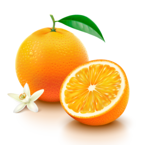 Botella de agua 1.5L